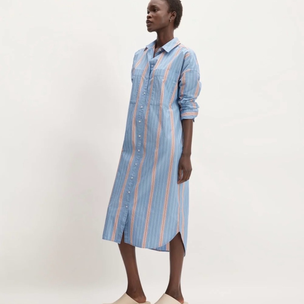Everlane shirt Dress